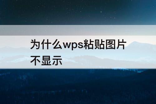 为什么wps粘贴图片不显示