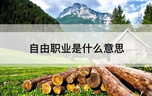 自由职业是什么意思