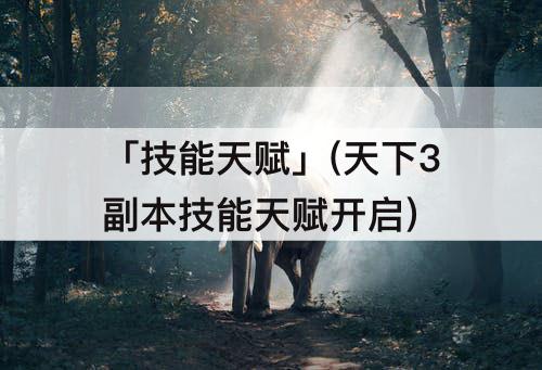 「技能天赋」(天下3副本技能天赋开启)