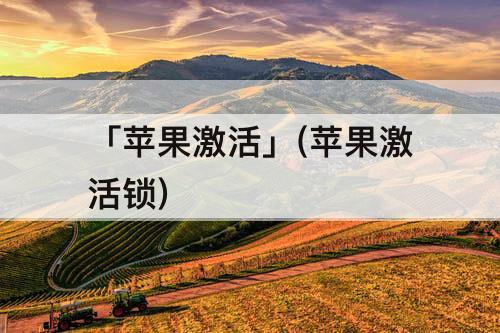 「苹果激活」(苹果激活锁)