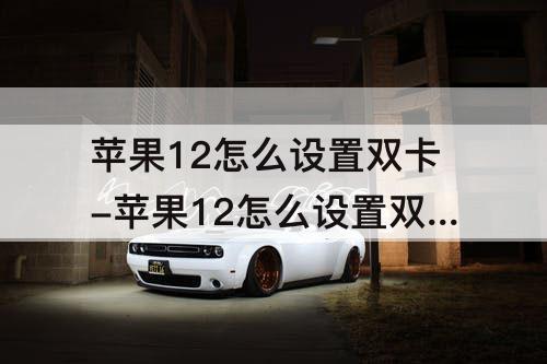 苹果12怎么设置双卡-苹果12怎么设置双卡双待
