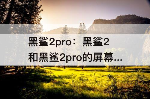 黑鲨2pro：黑鲨2和黑鲨2pro的屏幕总成一样吗