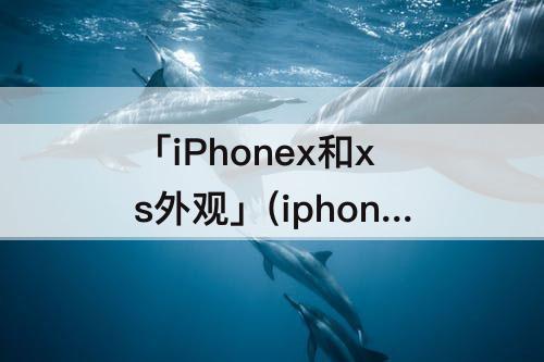 「iPhonex和xs外观」(iphonex和xs外观图片)