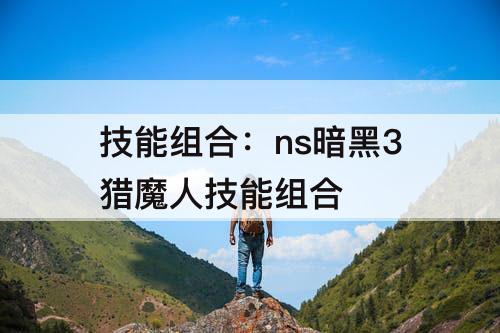 技能组合：ns暗黑3猎魔人技能组合
