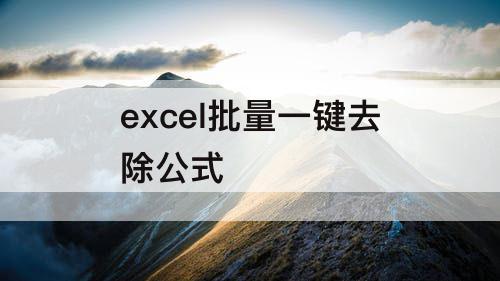 excel批量一键去除公式