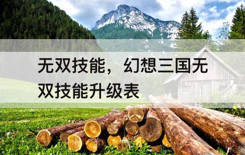 无双技能，幻想三国无双技能升级表