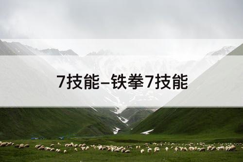7技能-铁拳7技能
