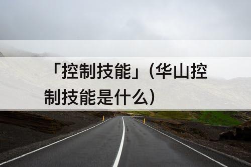 「控制技能」(华山控制技能是什么)