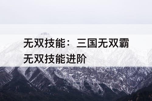 无双技能：三国无双霸无双技能进阶