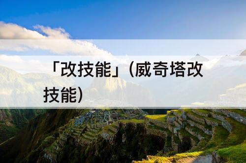 「改技能」(威奇塔改技能)