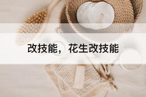 改技能，花生改技能