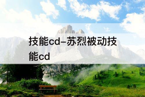 技能cd-苏烈被动技能cd