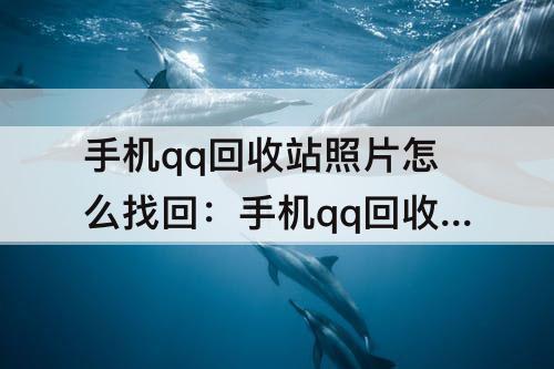 手机qq回收站照片怎么找回：手机qq回收站照片怎么找回来