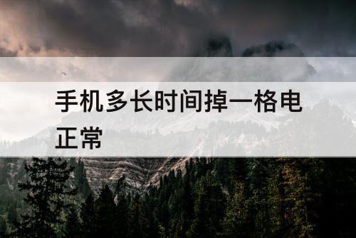 手机多长时间掉一格电正常