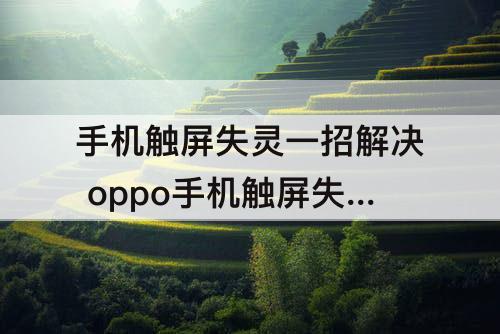手机触屏失灵一招解决 oppo手机触屏失灵一招解决
