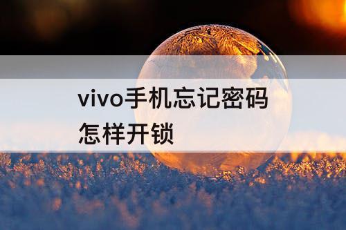 vivo手机忘记密码怎样开锁