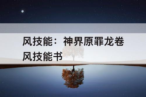 风技能：神界原罪龙卷风技能书