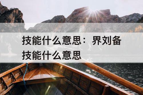 技能什么意思：界刘备技能什么意思