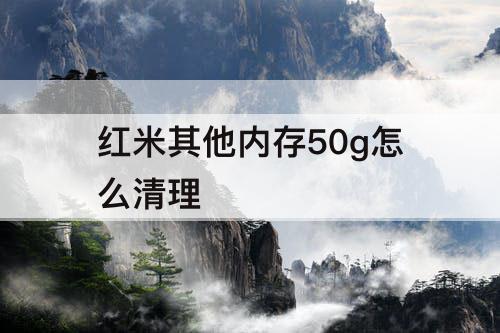 红米其他内存50g怎么清理