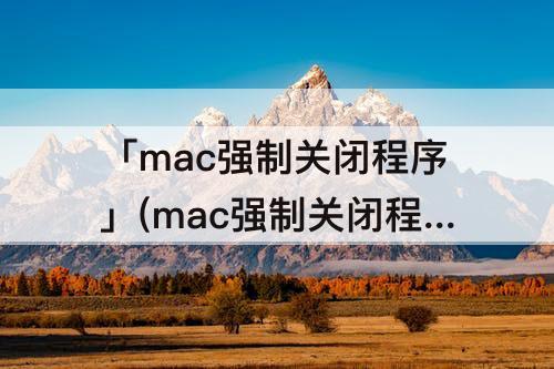 「mac强制关闭程序」(mac强制关闭程序是哪个快捷键)