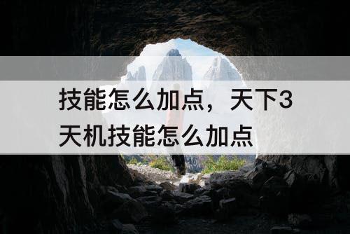 技能怎么加点，天下3天机技能怎么加点