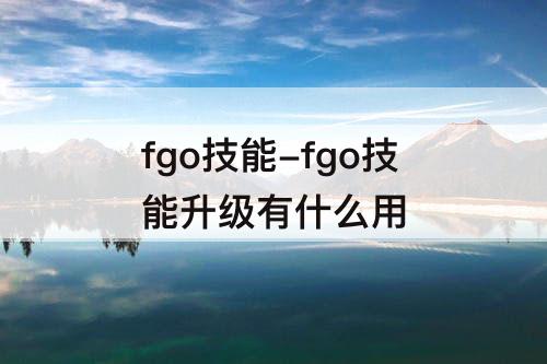 fgo技能-fgo技能升级有什么用
