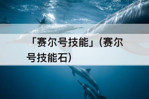 「赛尔号技能」(赛尔号技能石)