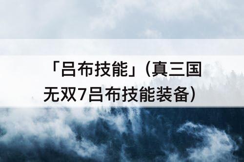 「吕布技能」(真三国无双7吕布技能装备)