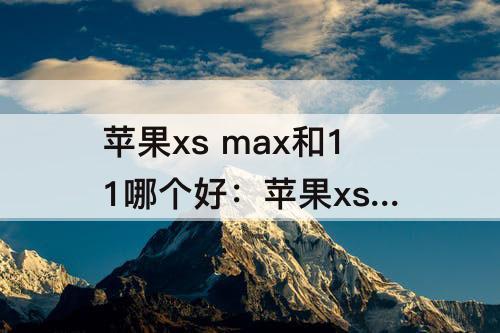 苹果xs max和11哪个好：苹果xs max和11哪个好些