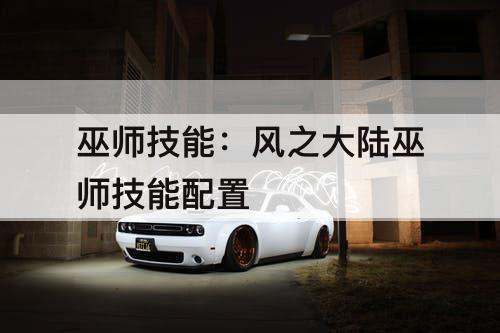 巫师技能：风之大陆巫师技能配置