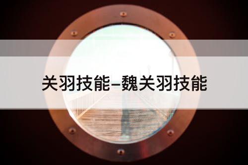 关羽技能-魏关羽技能