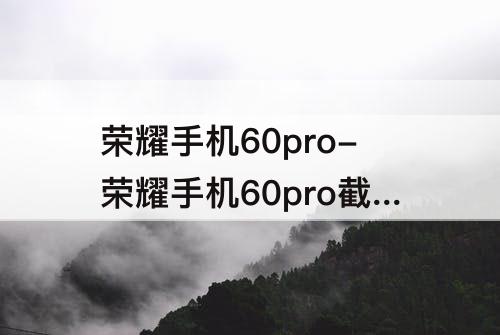 荣耀手机60pro-荣耀手机60pro截图涉及隐私内容怎么解决