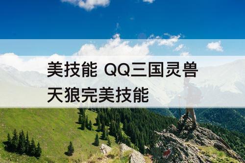 美技能 QQ三国灵兽天狼完美技能