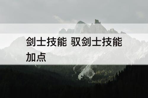 剑士技能 驭剑士技能加点