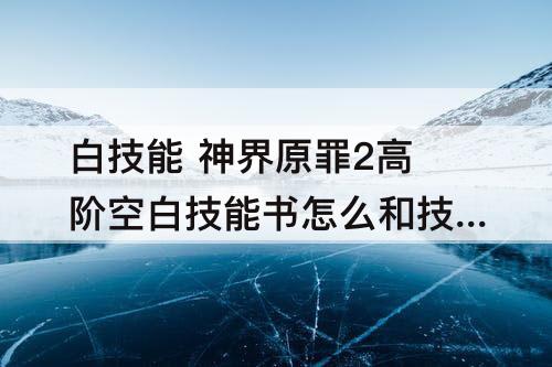 白技能 神界原罪2高阶空白技能书怎么和技能