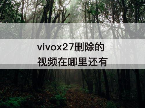 vivox27删除的视频在哪里还有