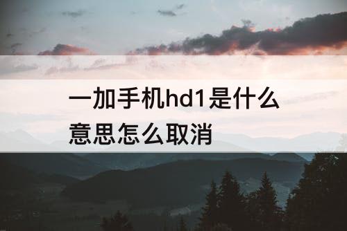 一加手机hd1是什么意思怎么取消