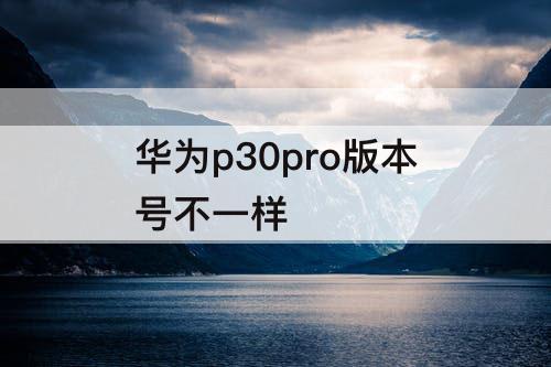 华为p30pro版本号不一样