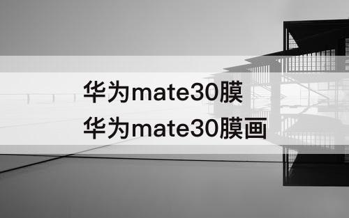 华为mate30膜 华为mate30膜画