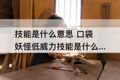 技能是什么意思 口袋妖怪低威力技能是什么意思