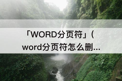 「WORD分页符」(word分页符怎么删除一页)