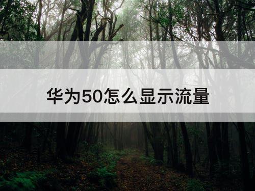 华为50怎么显示流量