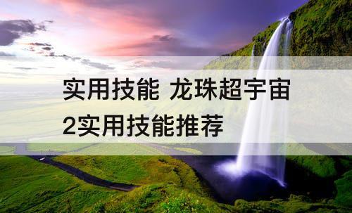 实用技能 龙珠超宇宙2实用技能推荐