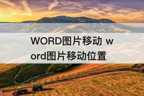 WORD图片移动 word图片移动位置