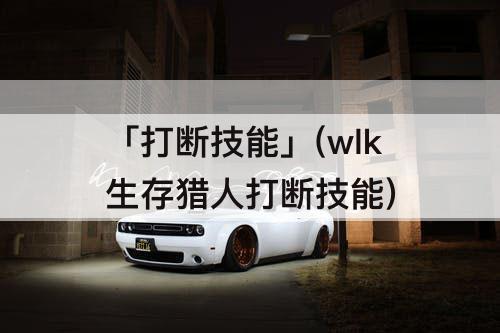 「打断技能」(wlk生存猎人打断技能)