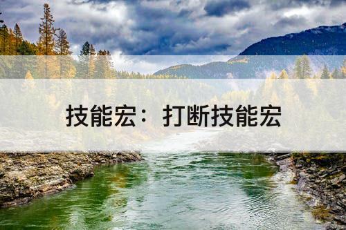 技能宏：打断技能宏