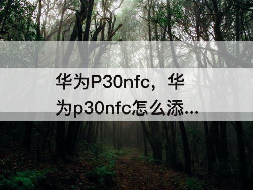 华为P30nfc，华为p30nfc怎么添加校园卡