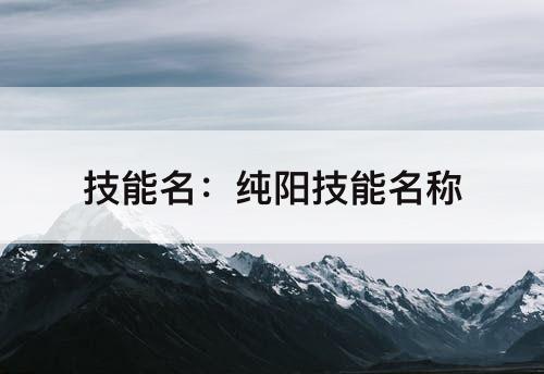 技能名：纯阳技能名称