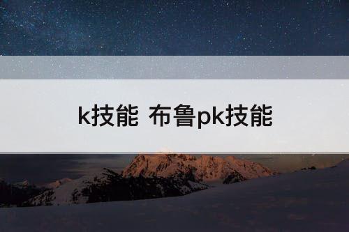 k技能 布鲁pk技能