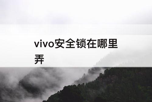 vivo安全锁在哪里弄